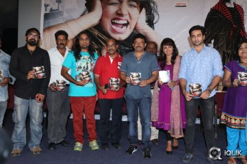 Ice Cream Movie Audio Launch